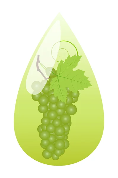 Grape juice green drop ecology concept — Stock Vector