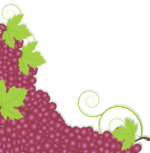 Écologie de fond du vecteur de raisin — Image vectorielle