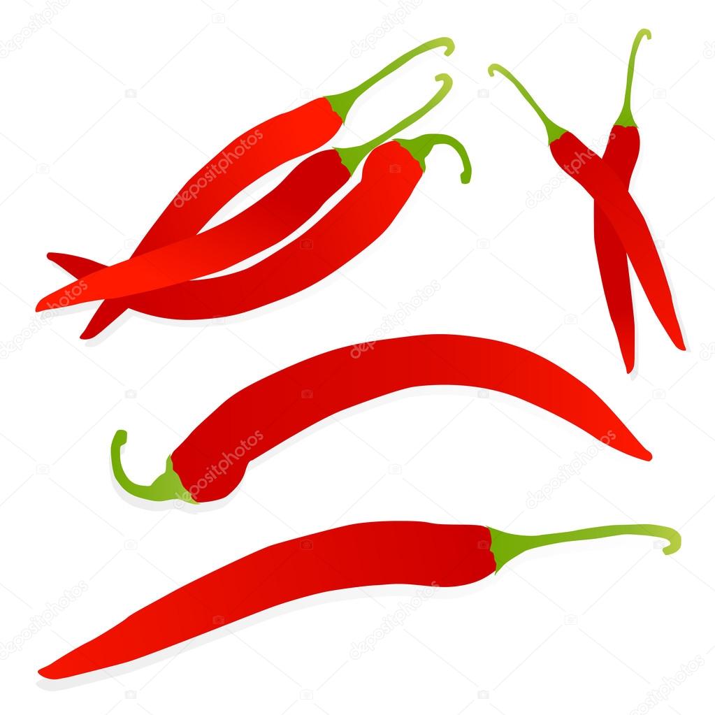 Red chili pepper detailed illustration background vector