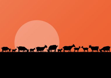 çiftlik süt keçi sürüsü siluetleri manzara şekil backgro