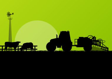 Agriculture tractor and beef cattle in cultivated country fields