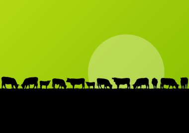 Beef cattle and milk cow herd in countryside field landscape ill clipart