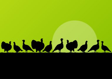 Wild Türkiye av sezonu siluetleri kırsal manzara