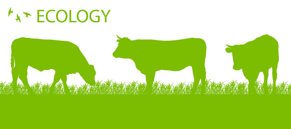 Store cattle ecology background organic farming vector