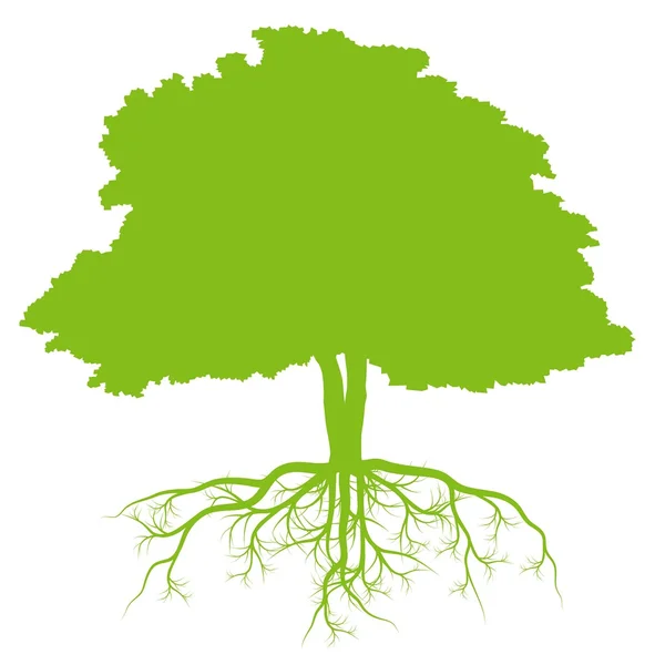 Árbol con raíces fondo ecología vector — Archivo Imágenes Vectoriales