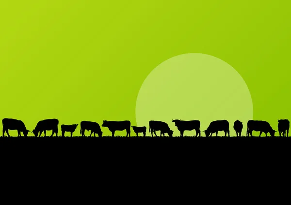 Bovins de boucherie et troupeau de vaches laitières dans les champs ruraux — Image vectorielle