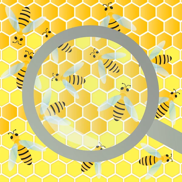 Včely úl a vosk plástev pod lupou sklo kontroly nemocných — Stockový vektor
