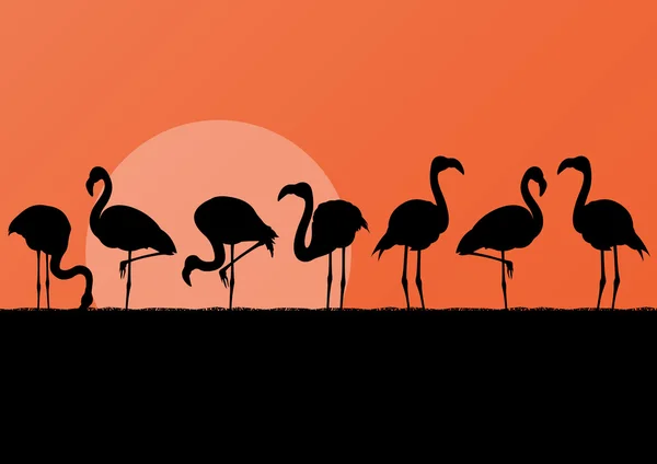 Flamingo silhuettes in sunset landscape illustration background — Stock Vector