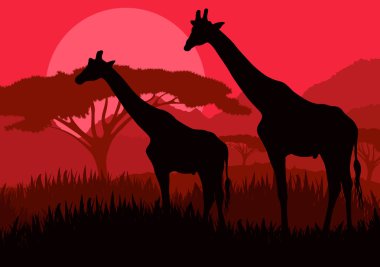 Afrika vahşi doğa dağ landsc içinde zürafa ailesi silhouettes