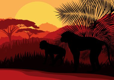 Afrika vahşi doğa dağ manzara adam ailede maymun