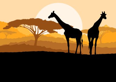 Afrika vahşi doğa dağ landsc içinde zürafa ailesi silhouettes