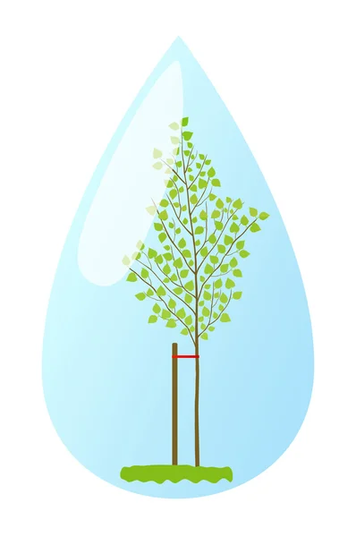 Jeune bouleau des plantes dans l'écologie de fond de vecteur de goutte d'eau — Image vectorielle