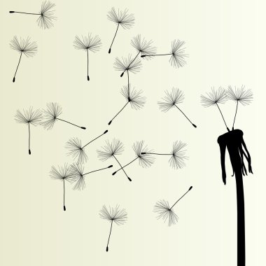 darbe karahindiba vektör arka plan