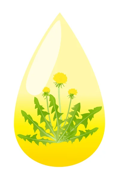 Pissenlit fleur miel goutte vecteur fond — Image vectorielle
