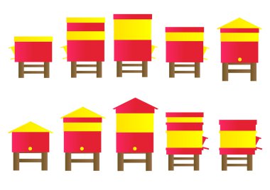 Arı kovanı vektör arka plan set