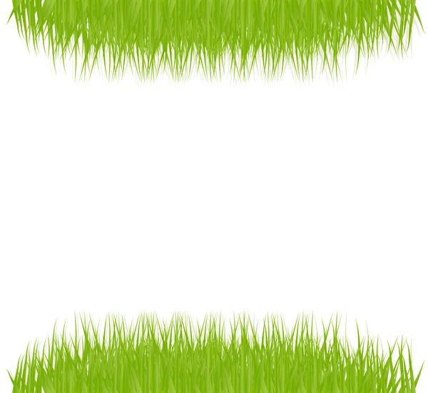 Fond vecteur herbe verte — Image vectorielle