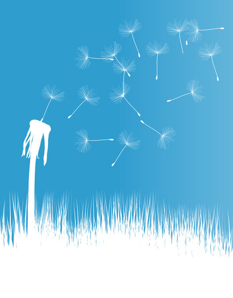 Dandelion blow vector background concept
