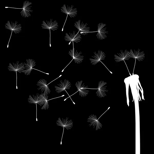 Blow dandelion vetor abstrato conceito de fundo —  Vetores de Stock