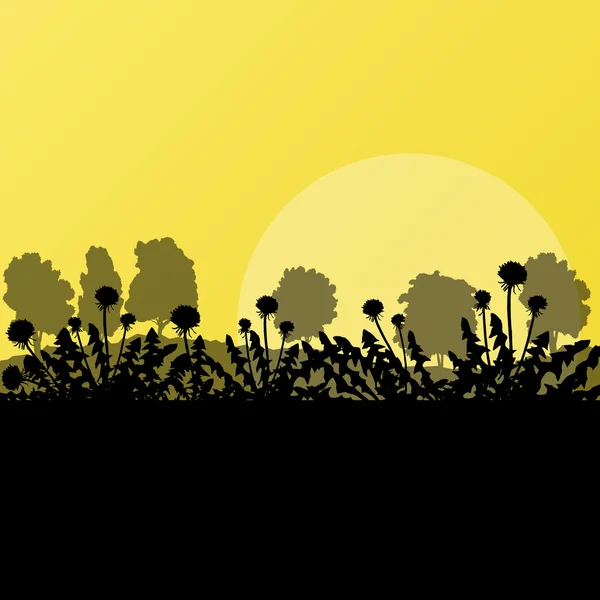 Löwenzahn Frühling und Sommer Blume natürliche Wiesenlandschaft illu — Stockvektor