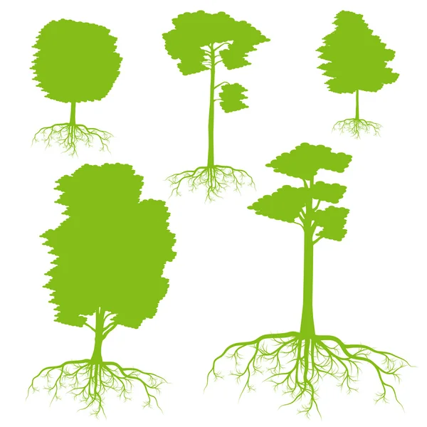 Arbre avec racines ensemble vecteur écologie de fond — Image vectorielle