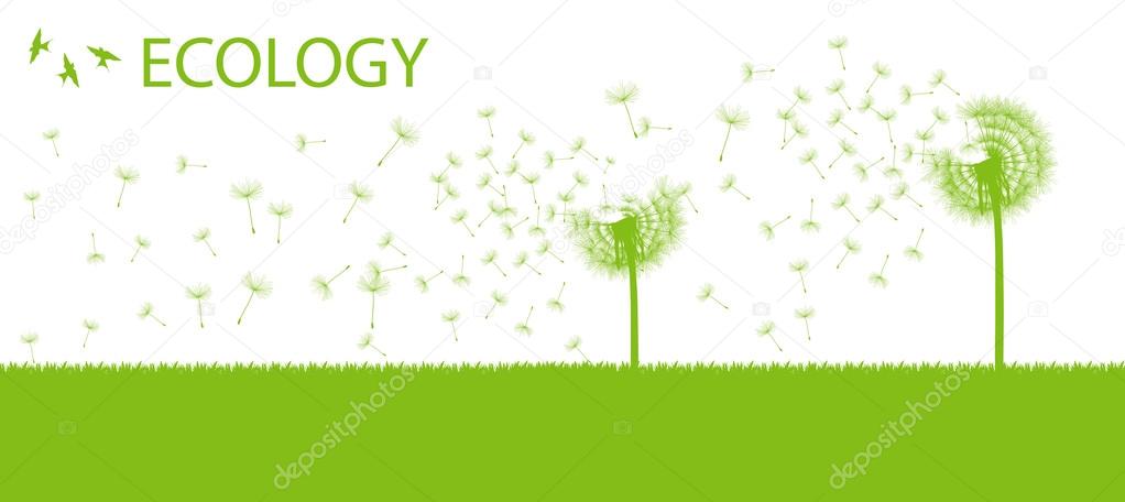 Blow dandelion vector abstract background concept