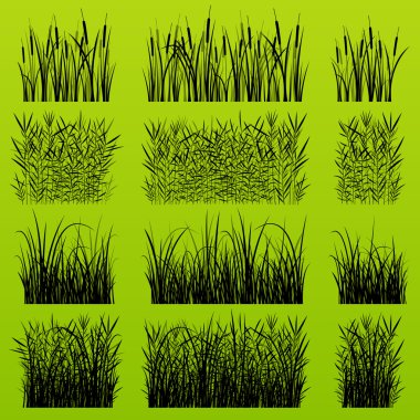 Grass, reed and wild plants detailed silhouettes illustration ba vector Grass, reed and wild plants detailed silhouettes illustration ba vector