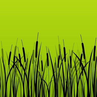 Grass, reed and wild plants detailed silhouettes illustration ba vector Grass, reed and wild plants detailed silhouettes illustration ba vector