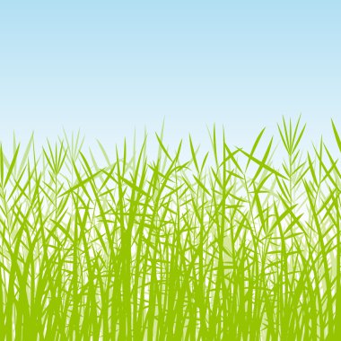 çim, reed ve vahşi bitkiler detaylı siluetleri illüstrasyon ba