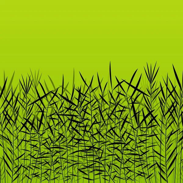 잔디, 갈 대 및 야생 식물 자세한 실루엣 그림 바 — 스톡 벡터