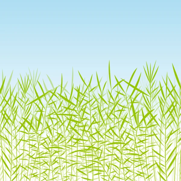 Gras, Schilf und Wildpflanzen detaillierte Silhouetten Illustration ba — Stockvektor