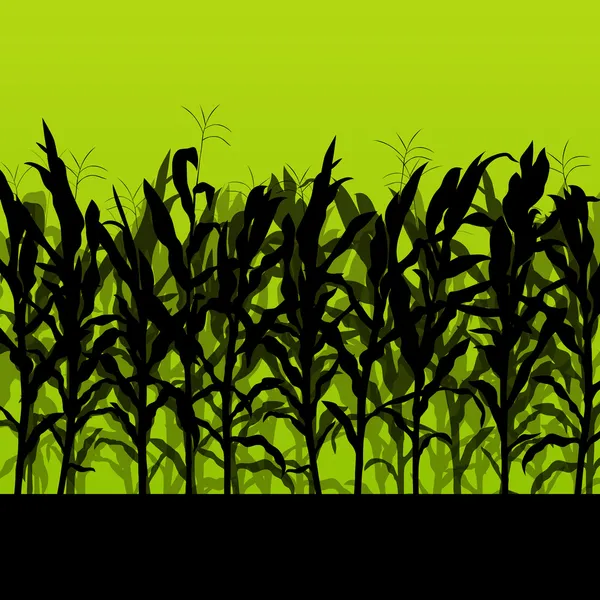 Campo de milho detalhado paisagem rural ilustração backgroun — Vetor de Stock