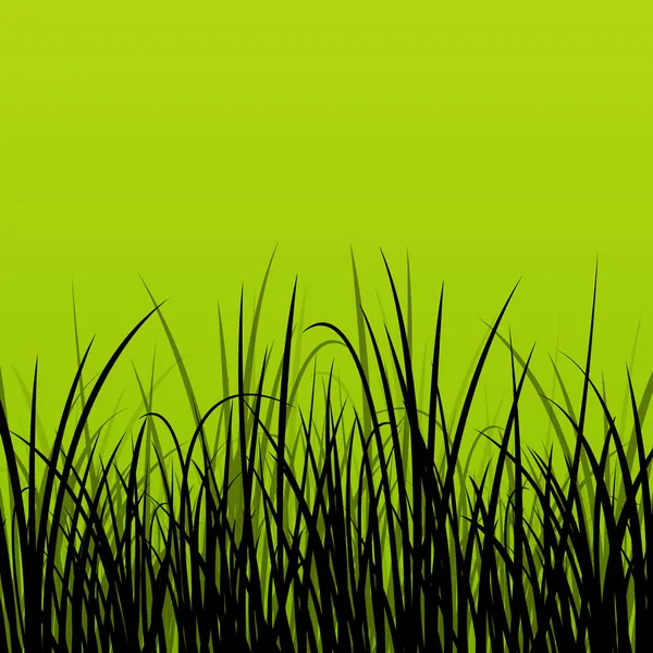 Gras, reed en wilde planten gedetailleerde silhouetten illustratie ba — Stockvector