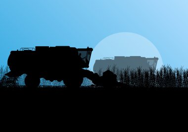 Tarım birleştirin biçerdöver hububat alan mevsimlik tarım l içinde