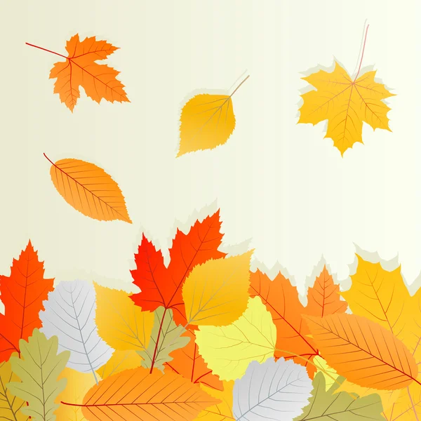 秋の葉の背景ベクトルの概念 — ストックベクタ