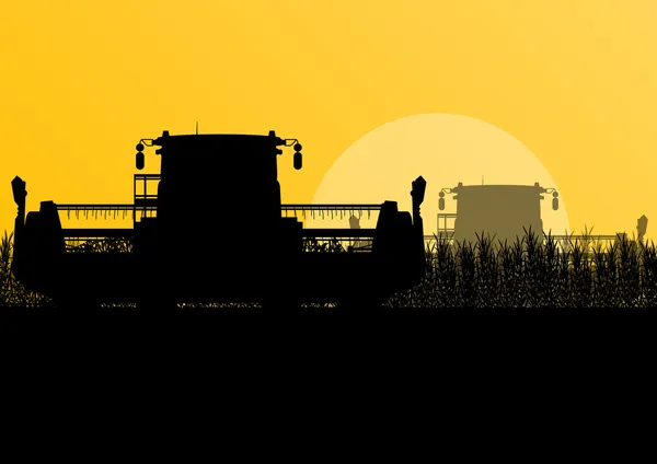 Moissonneuse-batteuse agricole dans les champs de céréales — Image vectorielle