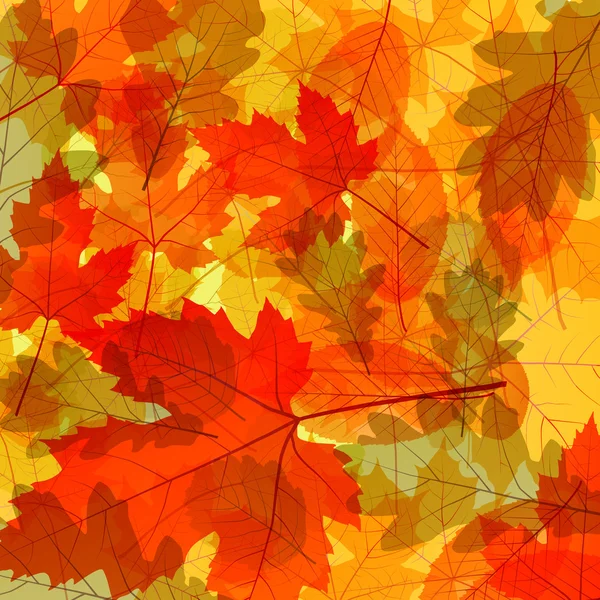 Otoño deja concepto de vector de fondo — Vector de stock