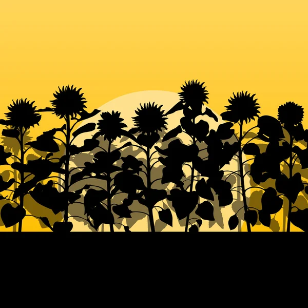 Zonnebloem veld landschap vector achtergrond concept — Stockvector