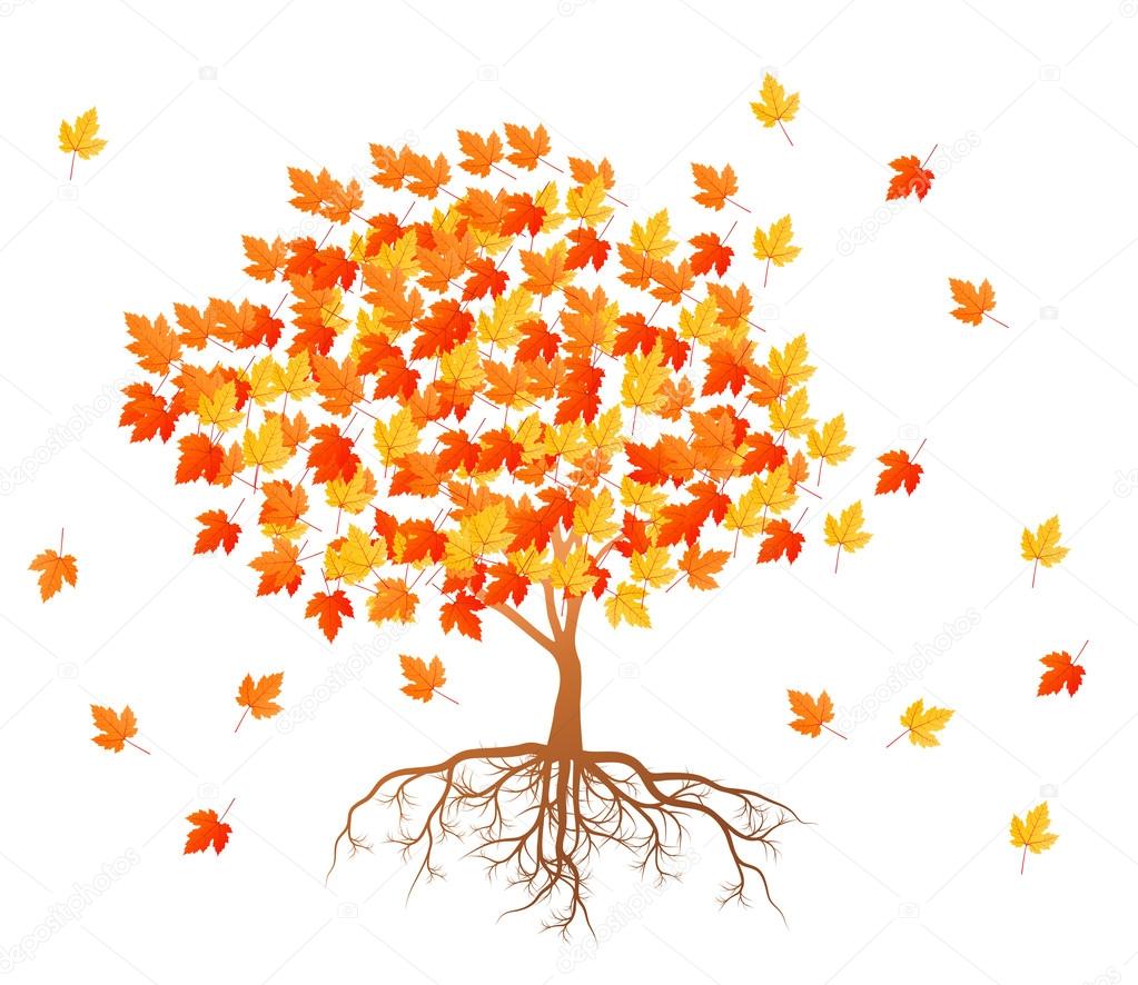 Maple tree autumn leaves background vector