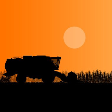 Tarım birleştirin biçerdöver hububat alan mevsimlik tarım l içinde