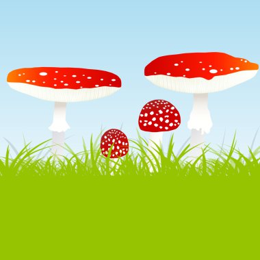 sinek agaric mantar aile vektör arka plan