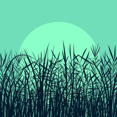 Grass, reed and wild plants detailed silhouettes illustration ba vector