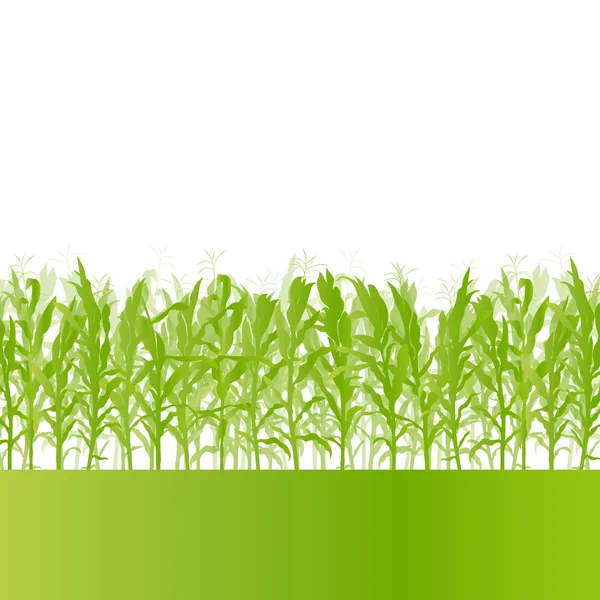 Corn field detailed countryside landscape ecology illustration b — Stockvector