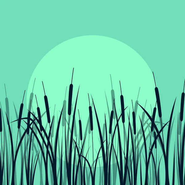 Gras, reed en wilde planten gedetailleerde silhouetten illustratie ba — Stockvector