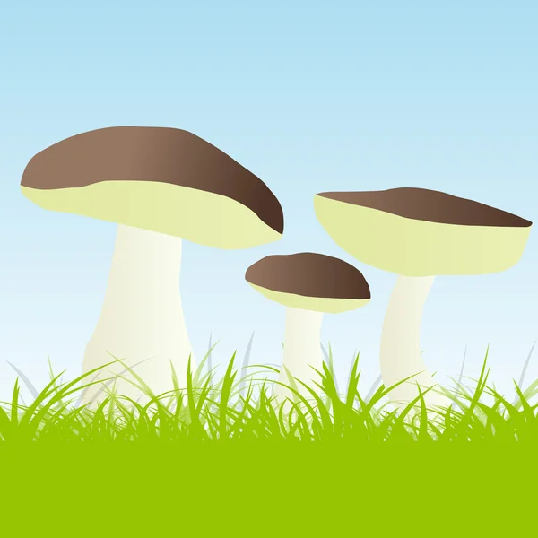 Mushrooms vector background — Stock Vector