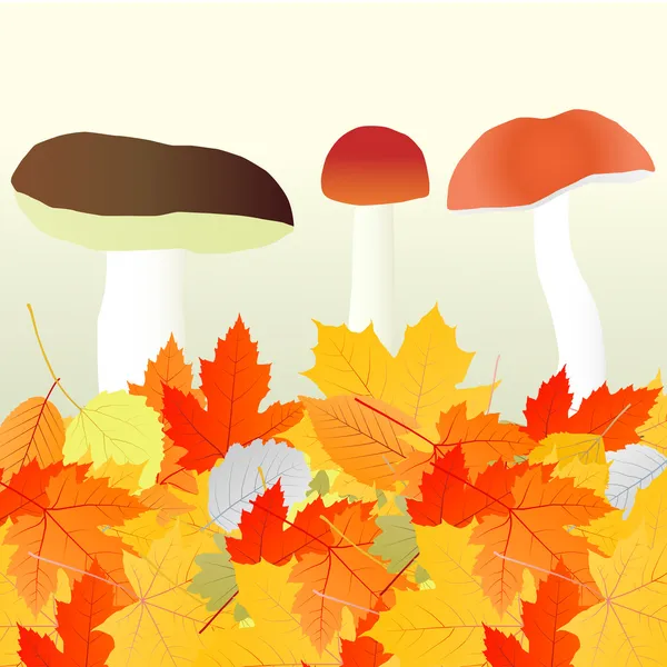 Paddestoelen en laat vector herfst achtergrond — Stockvector