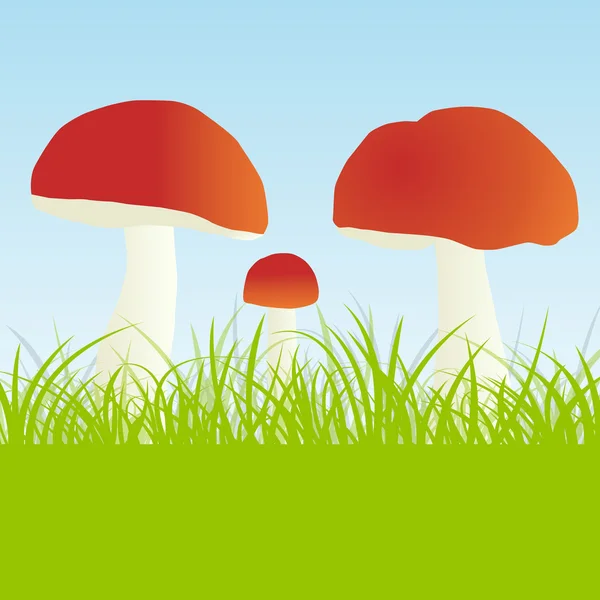 Mushrooms vector background — Stock Vector