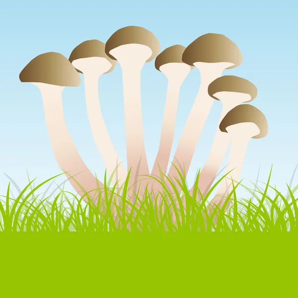 Group of agaric honey fungus vector — Stock Vector