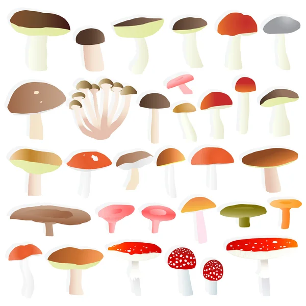 Pilze Sammlung eingestellt Vektor Hintergrund — Stockvektor