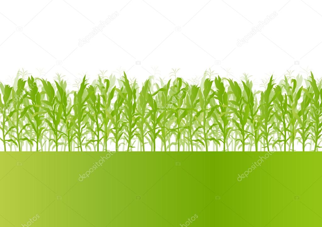 Corn field detailed countryside landscape ecology illustration b