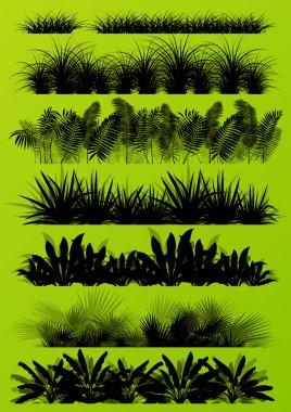 Tropical exotic jungle grass and plants detailed silhouettes bac vector Tropical exotic jungle grass and plants detailed silhouettes bac vector